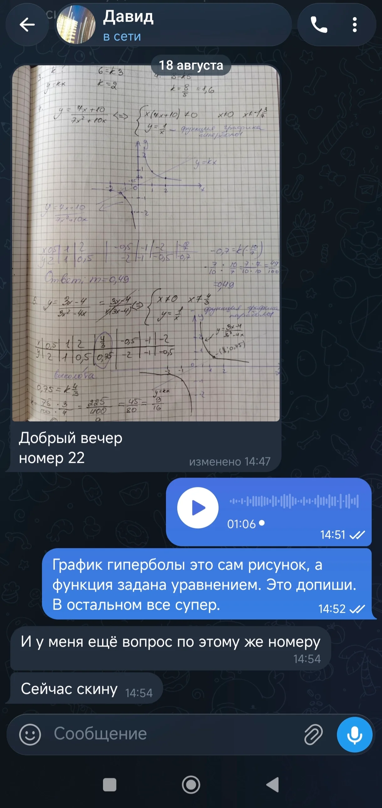 Пример разбора решения ученика в мессенджере